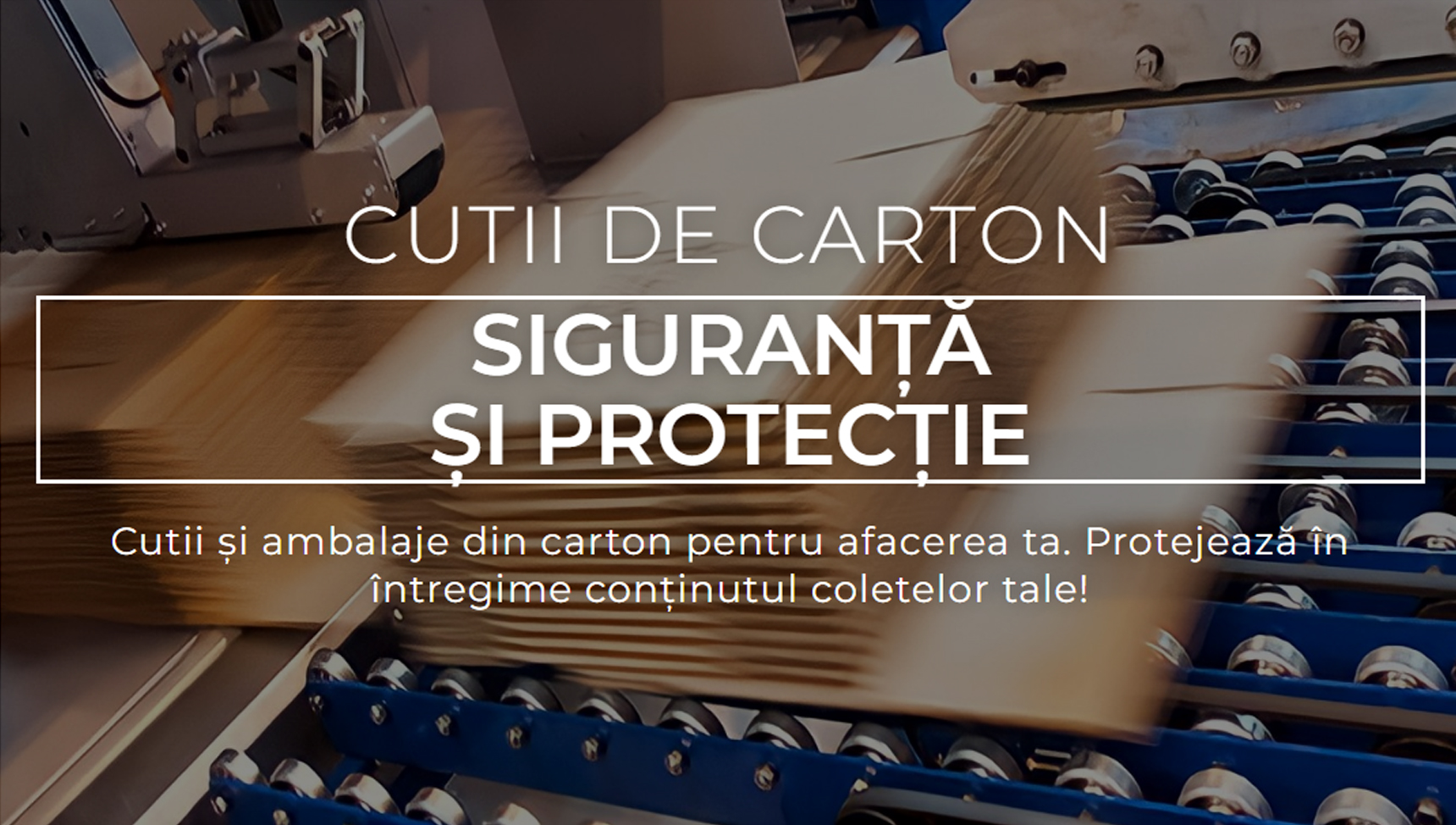 slider 1 cutiamea